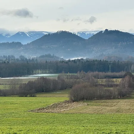 Domstolat